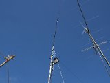 2010 Fieldday Hegendorf_0007.JPG